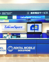 Narita Int'l Airport Terminal 1, 1F Photo